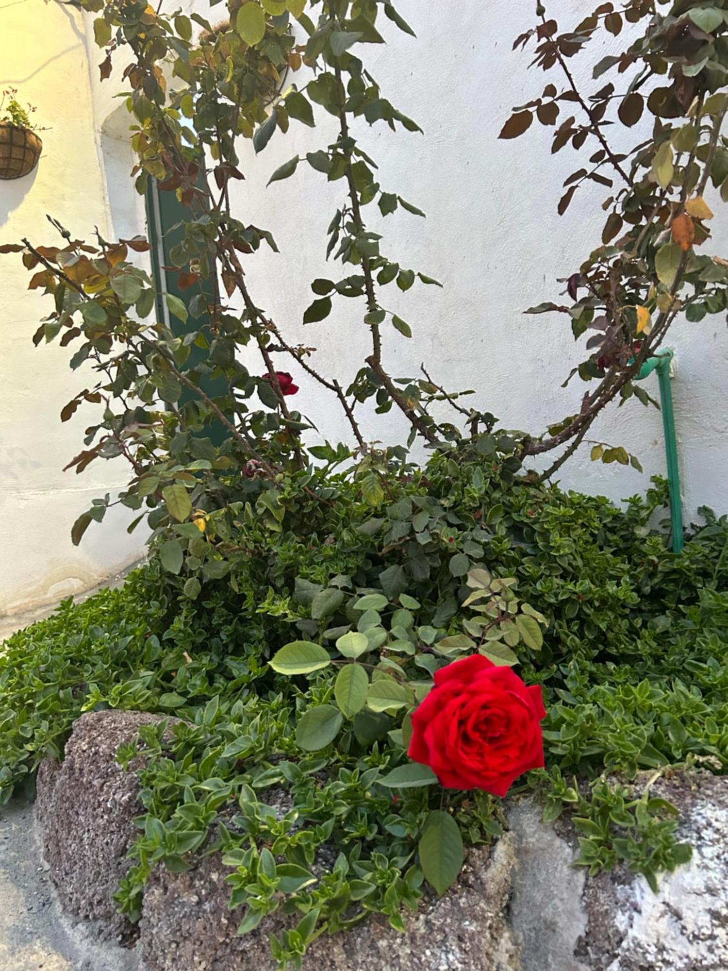 Casa Rural El Pasil Arona  Dış mekan fotoğraf